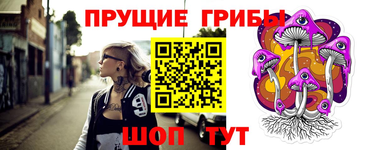 Дмитров  Псилоцибиновые грибы мухоморы  Вход с VPN 