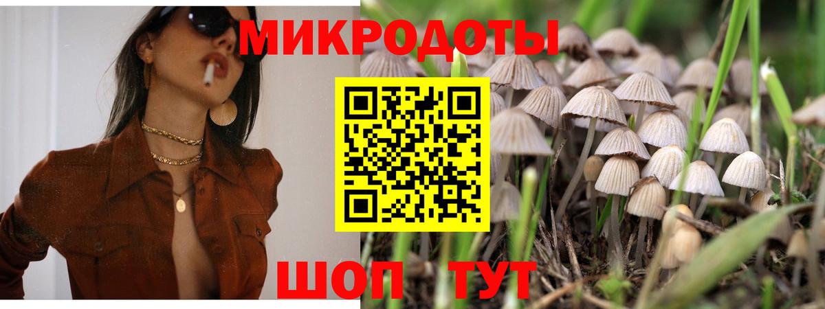 Галлюциногенные грибы GOLDEN TEACHER Дмитров